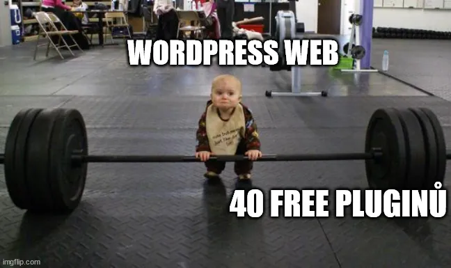 optimalizace webu - jak zrychlit wordpress